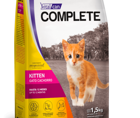 envase-complete-gato-cachorro-@2x-vitalcan-600x896