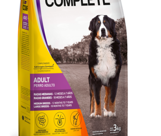 envase-complete-perro-adulto-raza-grande-@2x-vitalca-600x896