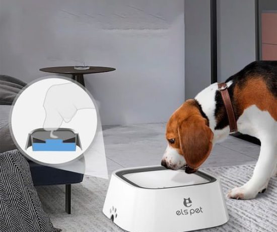 fd55b82c0fb9fbec6ab8a685cf1d