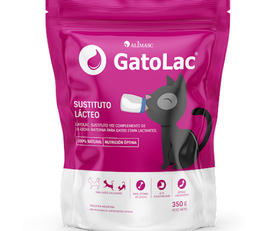 gatolac-78909141e15790a86617109441635957-1024-1024