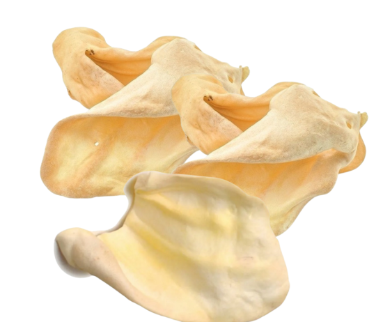 imagenes-web-bd80df56fd37f05bb017477512212963-1024-1024