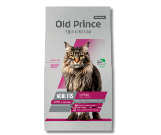 mascoweek-31-58c87236ebd5253de517471616990053-480-0