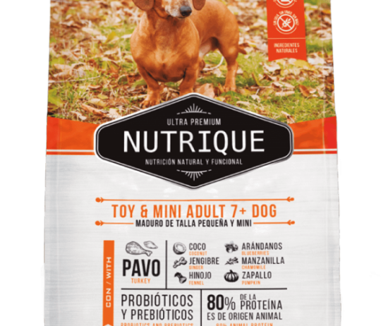 nutrique-envase-perro-adult-toy-@2x-600x896