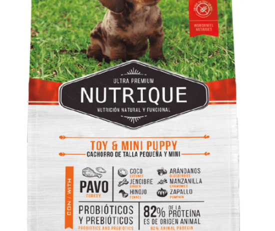 nutrique-envase-perro-cachorro-toy-@2x-600x896