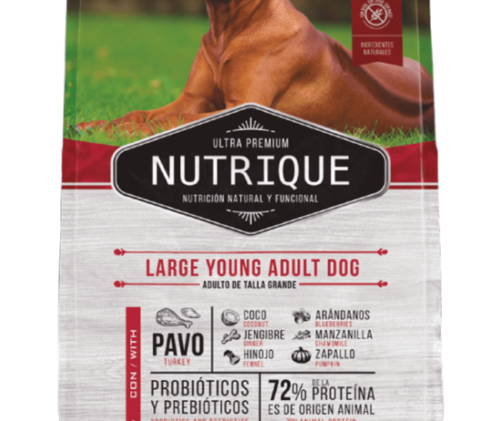 nutrique-envase-perro-young-large-@2x-600x896