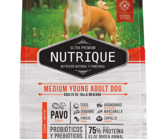 nutrique-envase-perro-young-medium-@2x-600x896