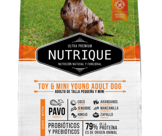 nutrique-envase-perro-young-toy-@2x-600x896