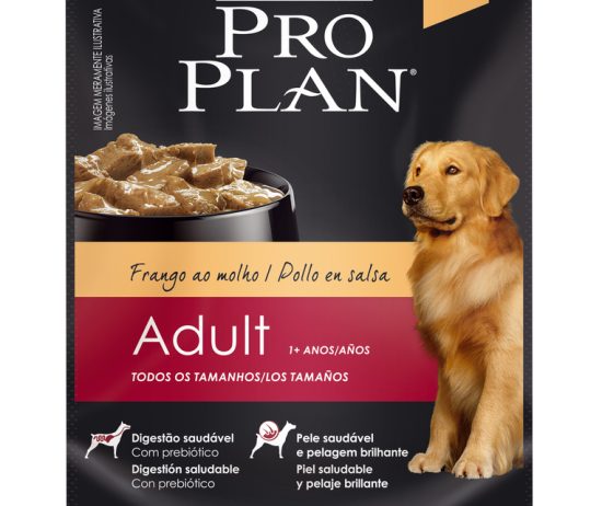 render-787-047-pp-wet-adulto-frango-com-molho-16-af_cv1-a5709d5293c28705a616941184549398-1024-1024