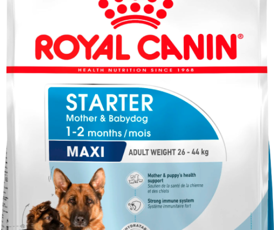 royal-canin-maxi-starter_variacion_95