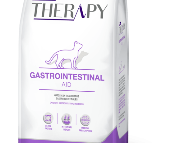therapy-gastrointestinal-felinos@2x-600x896 (1)