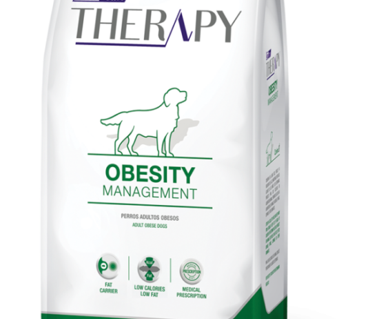 therapy-obesity-caninos@2x-1-1-600x896