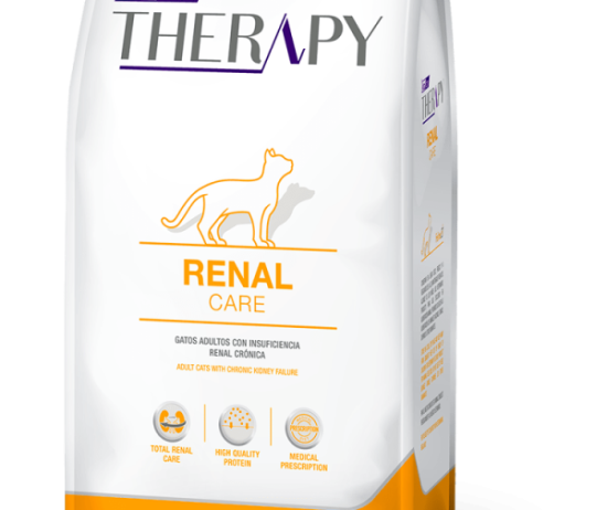 therapy-renal-felinos@2x-600x896