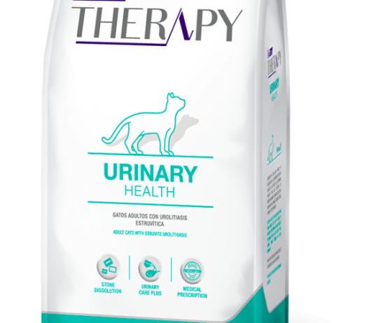 therapy-urinary-felinos@2x-600x896