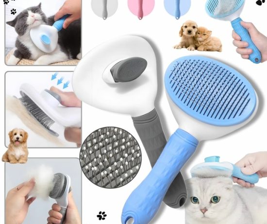 wechat-image_202301191906521-1b46b451e8cca9ceee16741672215759-640-0