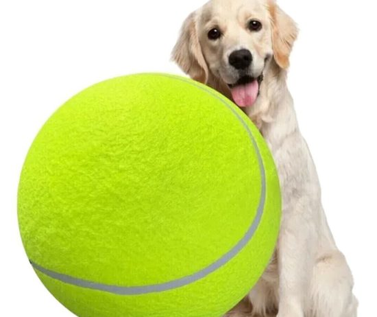 whatsapp-image-2025-08-01-at-3-25-34-pm-99f2e9e8146f8c7efc17540729988164-1024-1024