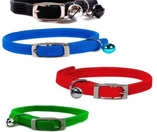 wouapy-collar-gatos-elastico-colores1-57ef6c6a1ca1aac40516057143873053-1024-1024